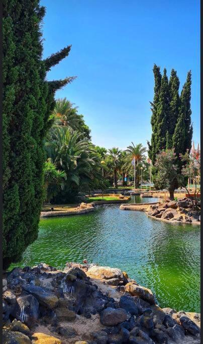 Apartamento Casa Di Mateo With Garden View And Swimming Pool Torrevieja Exterior foto
